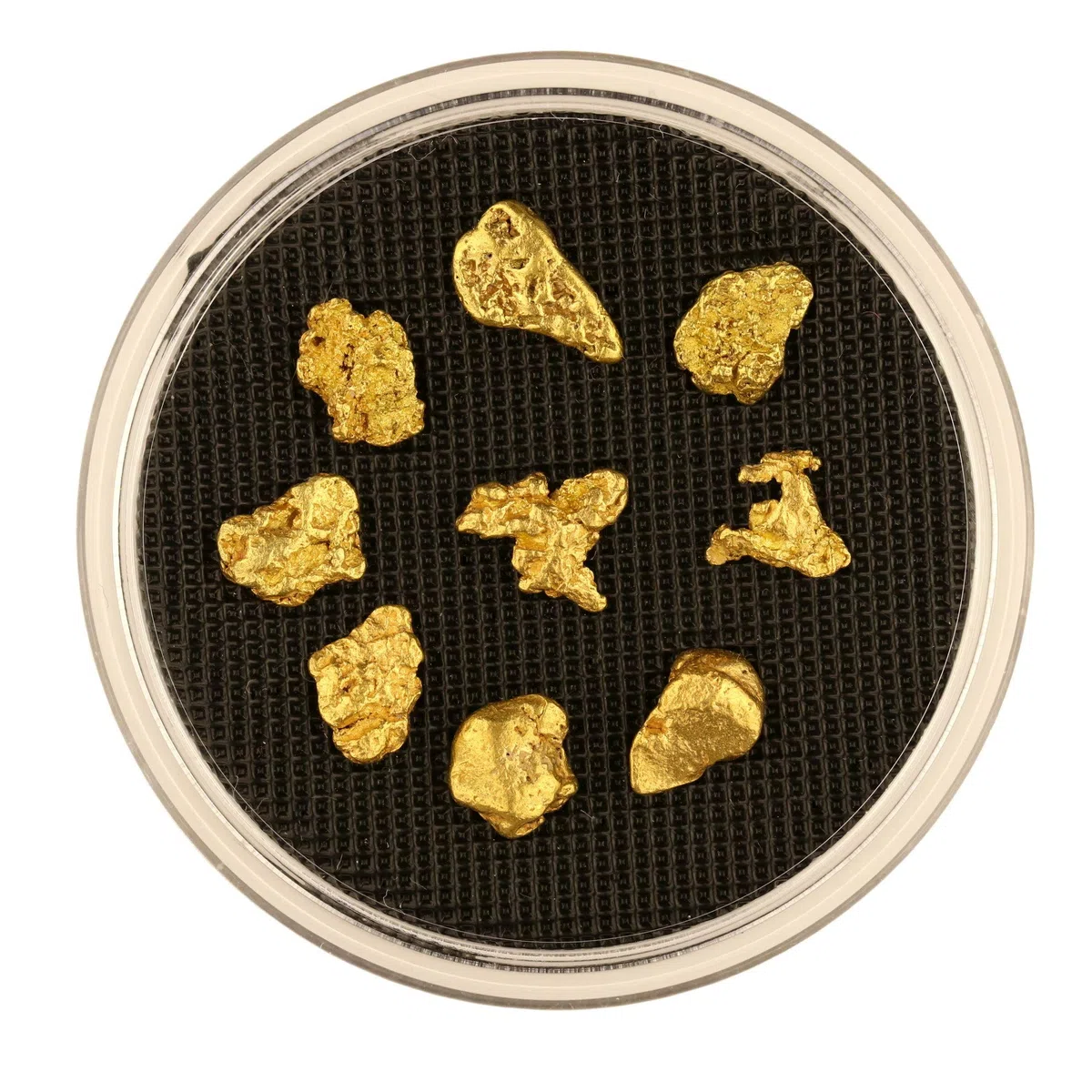 1 Gramm Echte XXL Goldnuggets aus Alaska mit Echtheitszertifikat in edler Münzdose