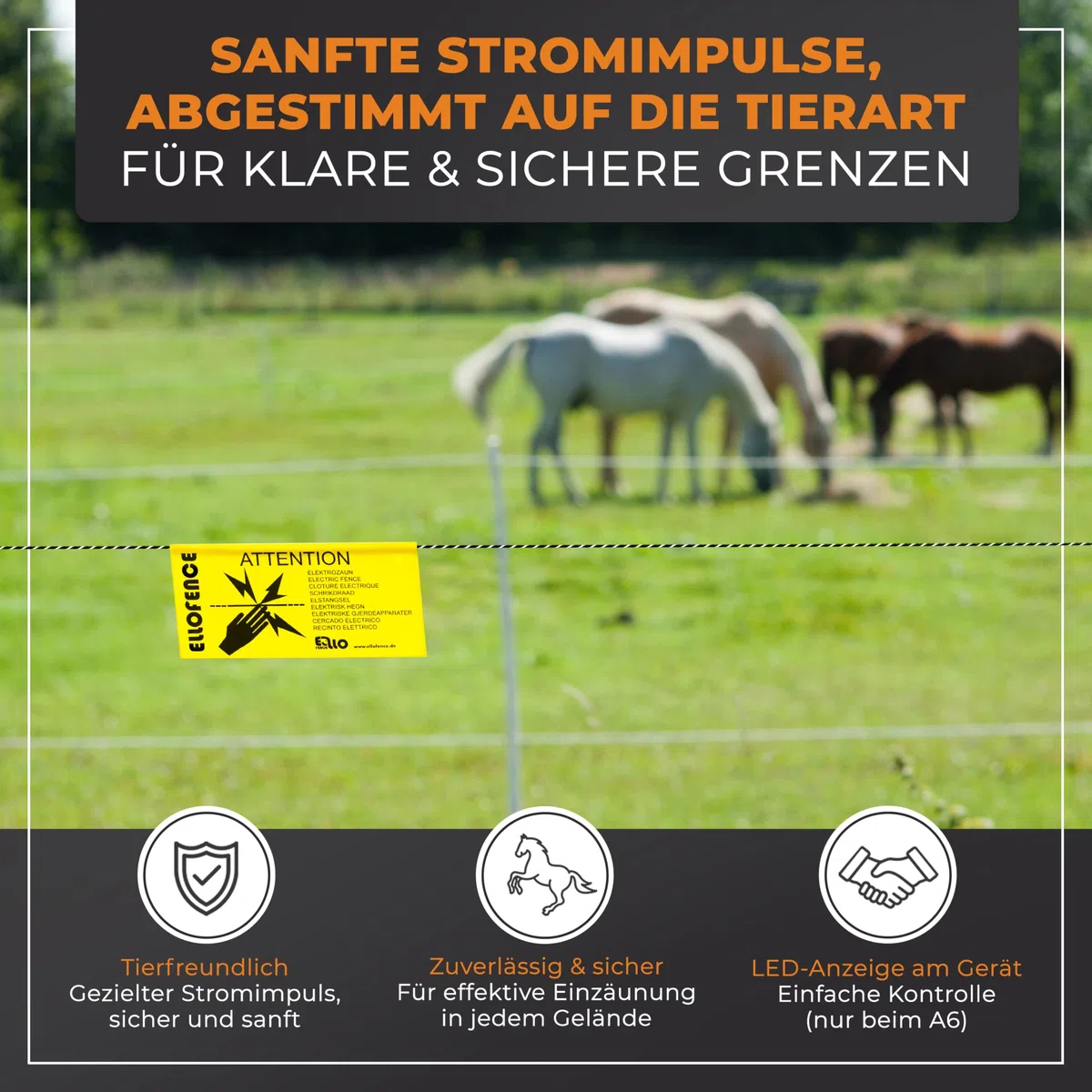Weidezaungerät 230V Netz (M500) - Extra starkes & leises Elektrozaungerät - Premium Weidegerät für alle Haus- und Nutztiere geeignet - Stromzaungerät mit Zaunkontrollanzeige