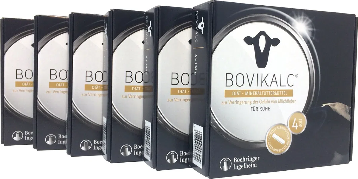Bolus 6 x 4 192 Gramm