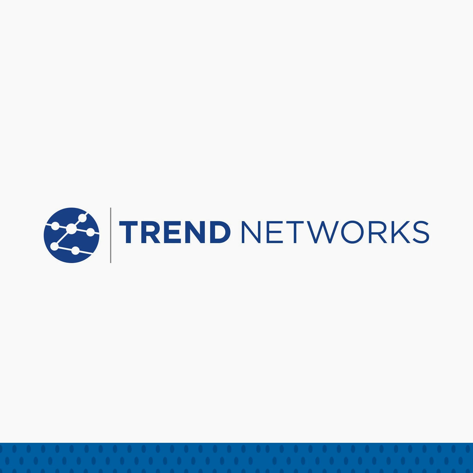 TREND Networks | 150059 | LanXPLORER Pro aktives Remoteadapter-Kit # 2-6 | Zzur Verdrahtungsprüfung | Passend für LanXPLORER, NaviTEK und SignalTEK 1G | LED-Anzeige für PASS/FAIL-Bewertung | 5er-Set