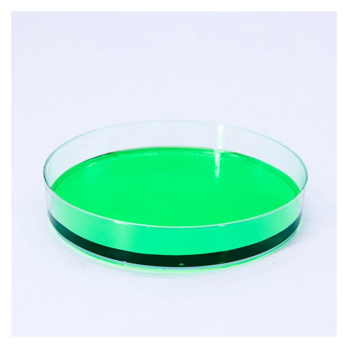 FYXT 10 Stück 120 Mm Glas Petrischale Labor Chemische Biologie Petrischale