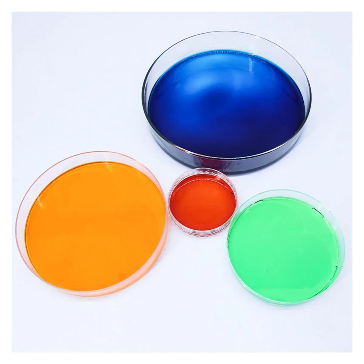 FYXT 10 Stück 120 Mm Glas Petrischale Labor Chemische Biologie Petrischale