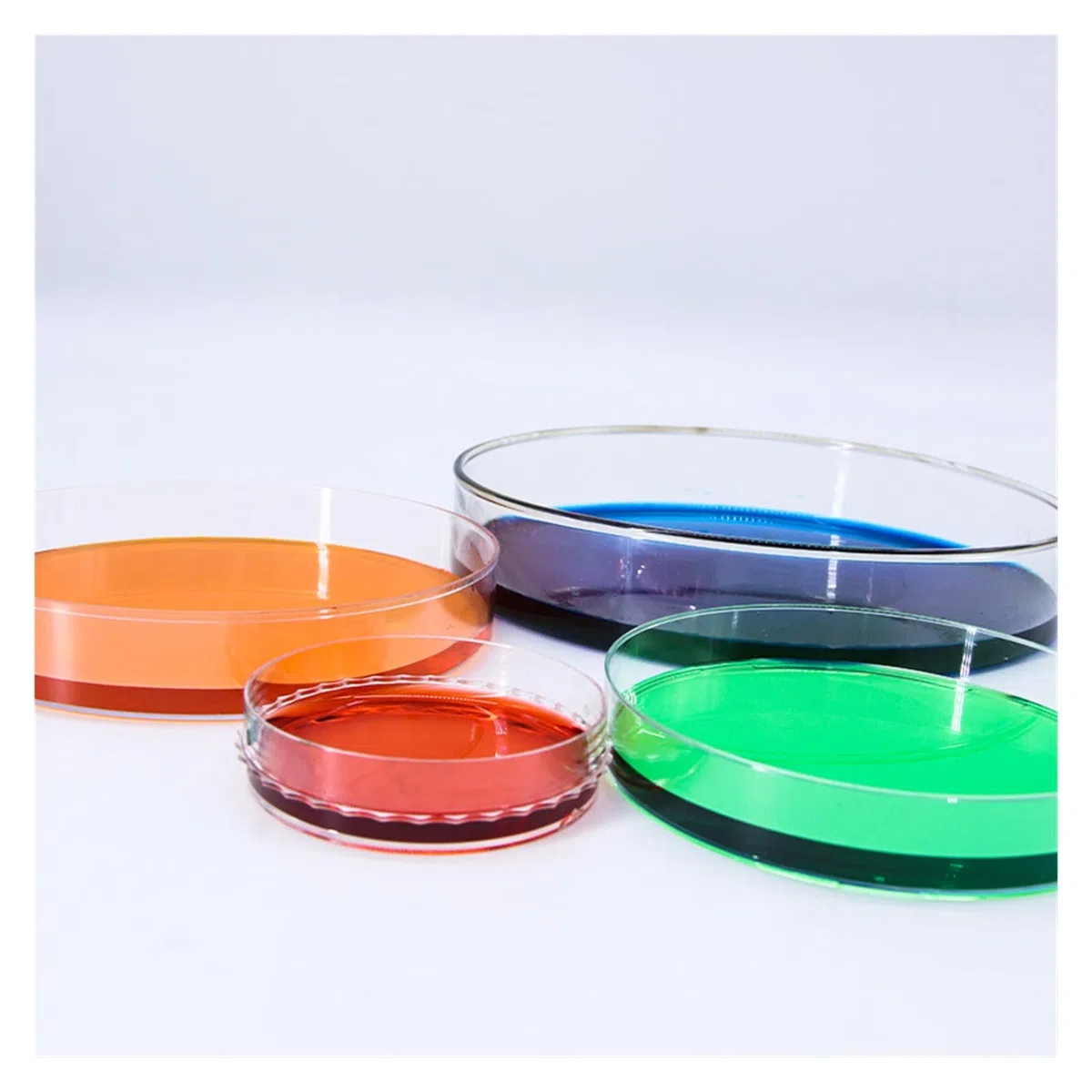 FYXT 10 Stück 120 Mm Glas Petrischale Labor Chemische Biologie Petrischale