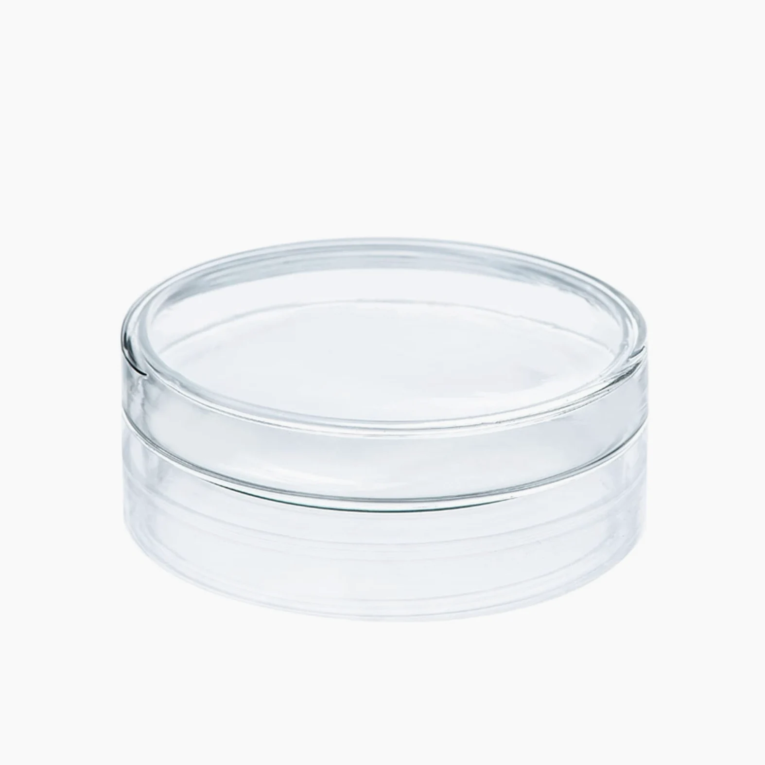 FYXT 10 Stück 120 Mm Glas Petrischale Labor Chemische Biologie Petrischale