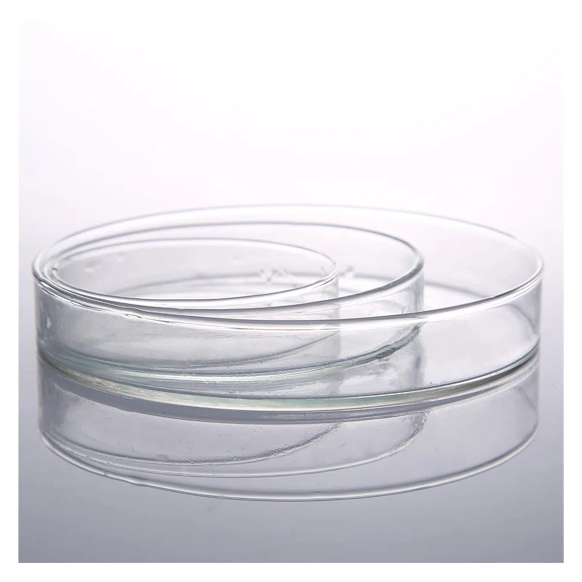 FYXT 10 Stück 120 Mm Glas Petrischale Labor Chemische Biologie Petrischale