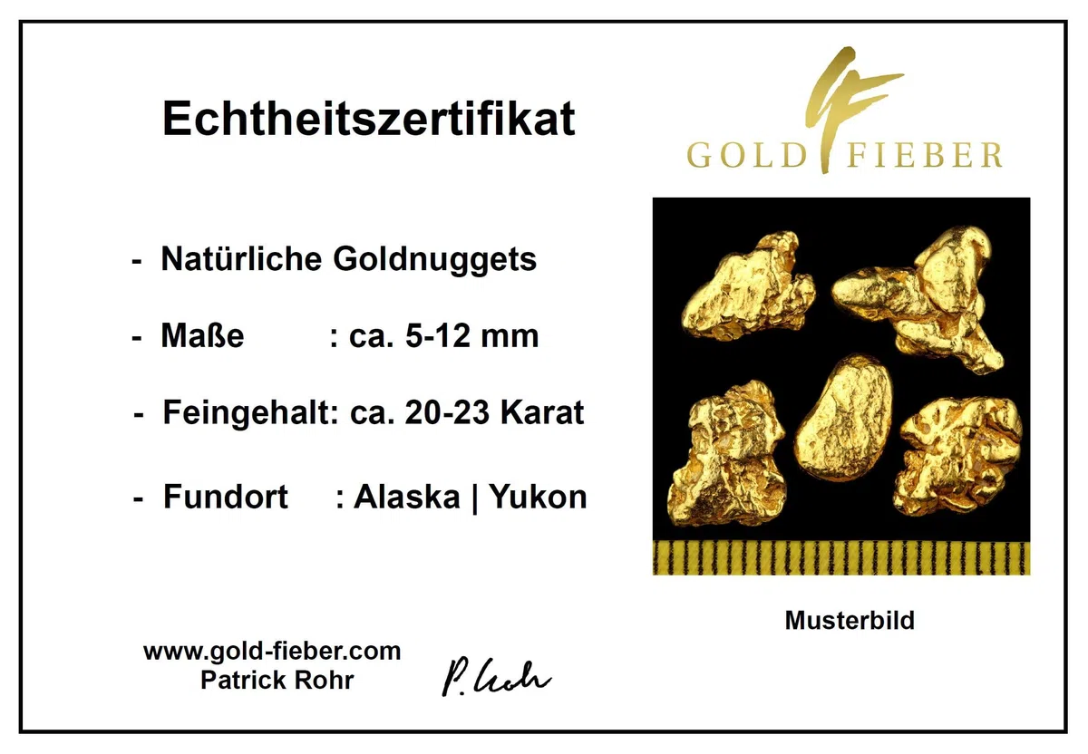 1 Gramm Echte XXL Goldnuggets aus Alaska mit Echtheitszertifikat in edler Münzdose