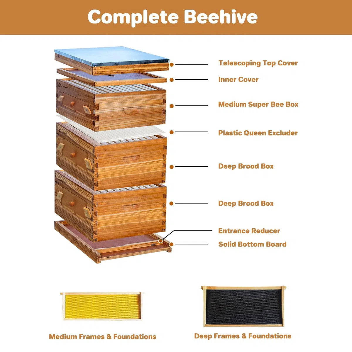 Langstroth Bienenstock Starter Set, 10 Rähmchen, 2 Tiefe Bruträume & 1 mittlerer Honigraum aus Robuster Tanne mit Großem Sichtfenster, 100% Bienenwachs-Beschichtete Rahmen & Foundation