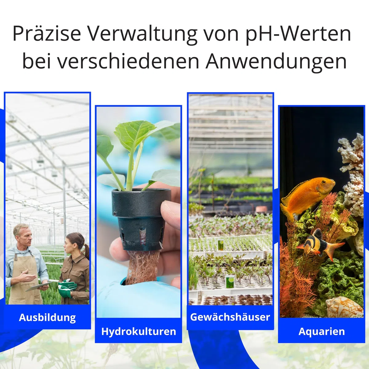 Bluelab pH Controller Wi-Fi – 24/7 pH-Überwachung im Reservoir, automatische Dosierung, Edenic-Integration, austauschbare Sonden, Sicherheitsfeatures – Für Hydrokulturen & Zimmerpflanzen